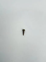 Screw – Self Drill #10 X 3/4′ (view 2)