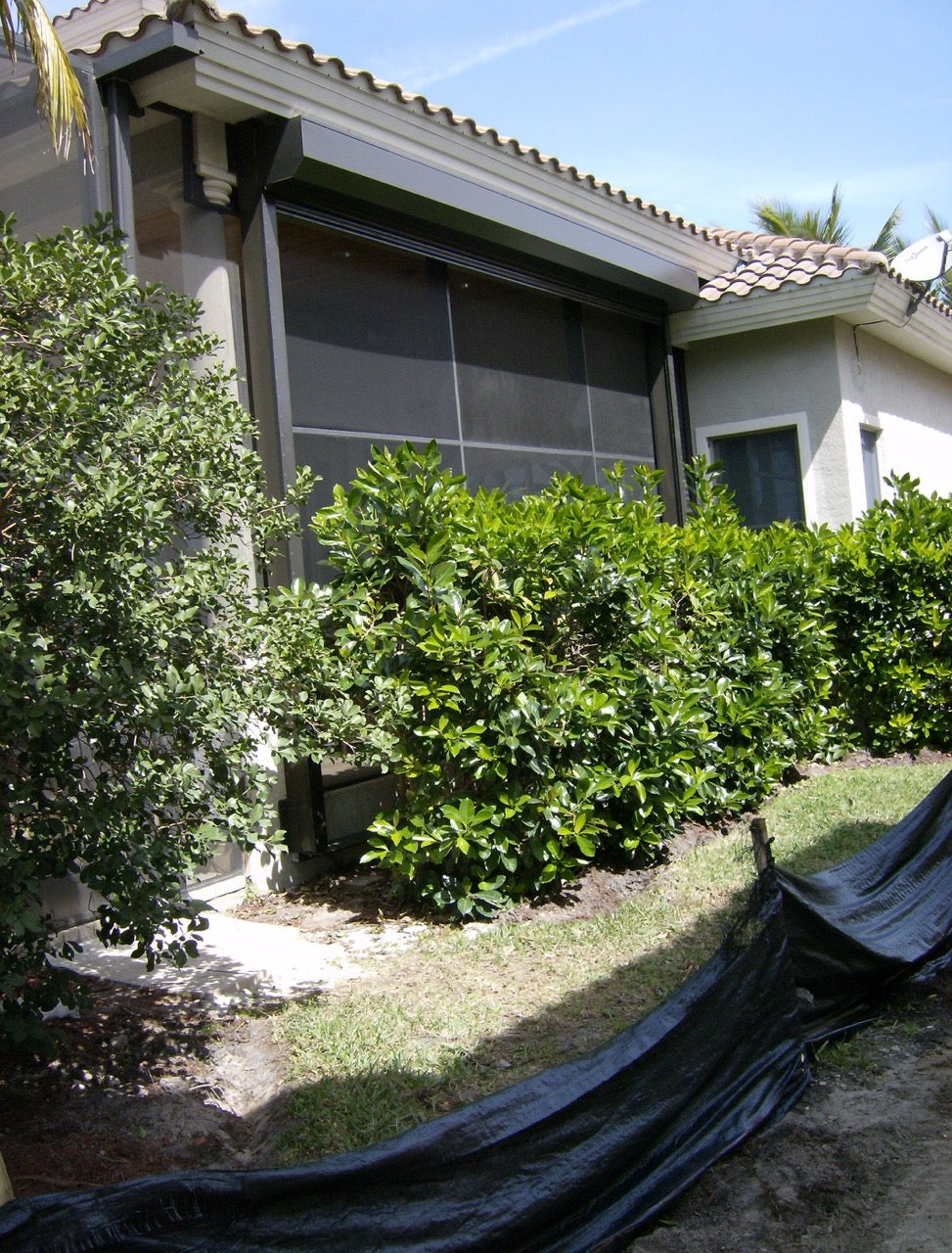Rolldown hurricane shutters by Advanced Hurricane Technology (photo 33)